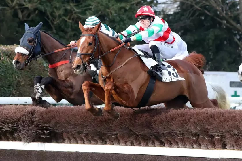 Miniature de l'article