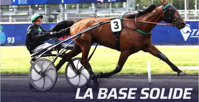 Miniature de l'article